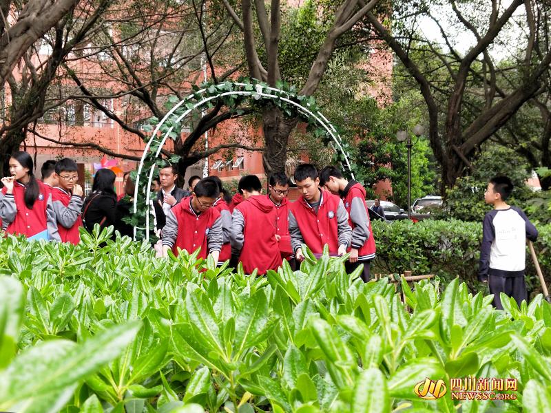 移轴镜头拍空间国产精品久久久久久久久久久久，摄影新手的必备神器，解锁影像新世界