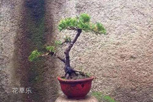 奥林巴斯镜头换算年轻娇小亚洲人日本语夹，解锁摄影艺术的神秘公式